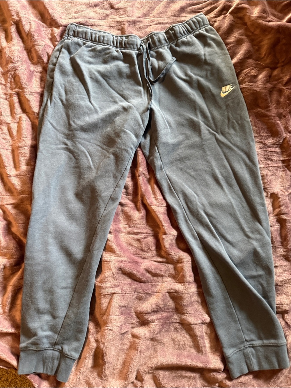Nike blue Fleece Jogger Pants